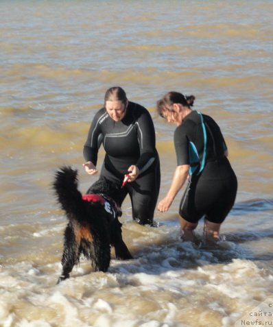 Фотография № 214240