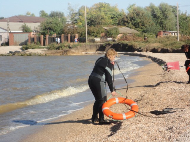 Фотография № 214241