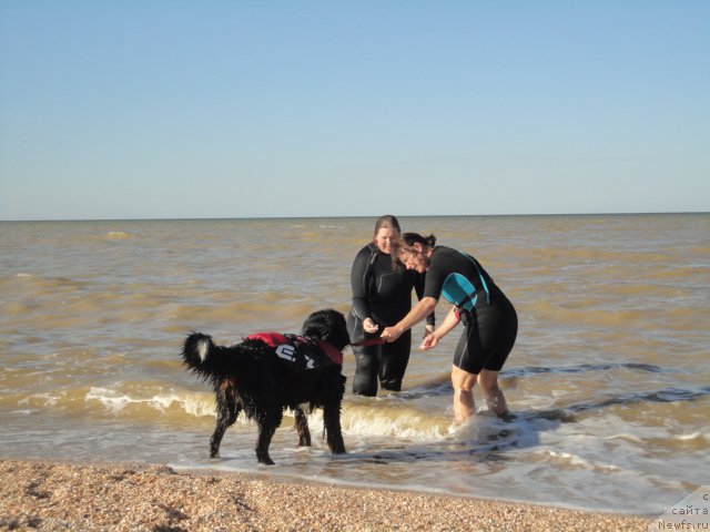 Фотография № 214243