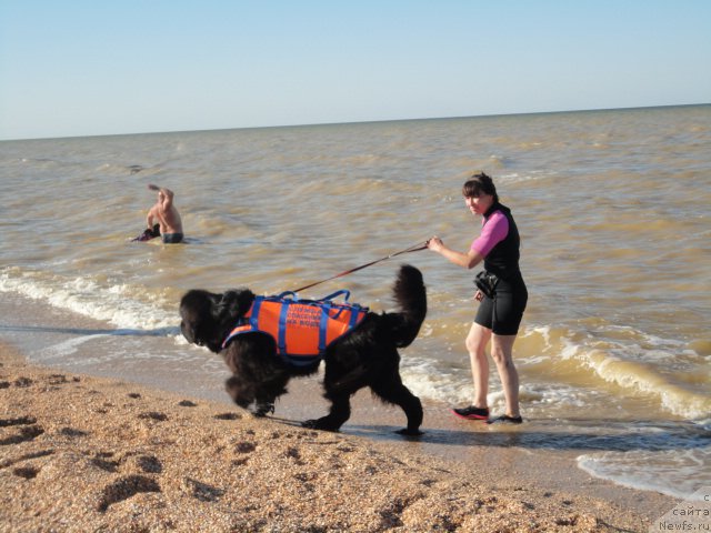 Фотография № 214247