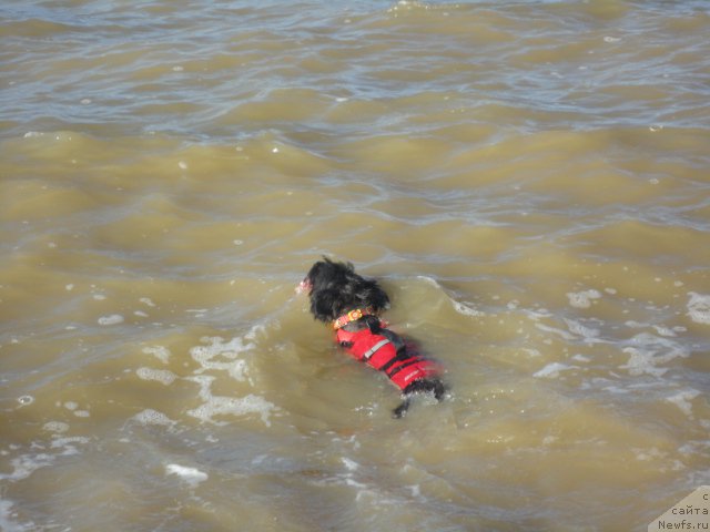 Фотография № 214250