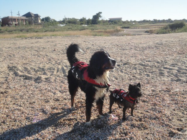 Фотография № 214252