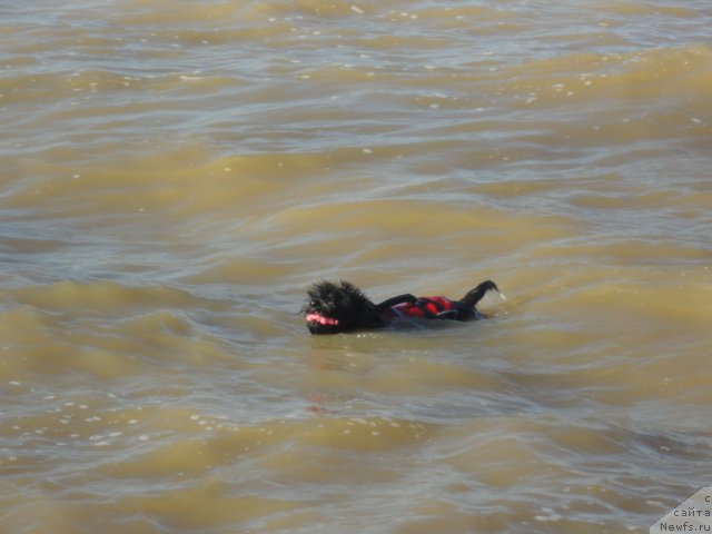 Фотография № 214253