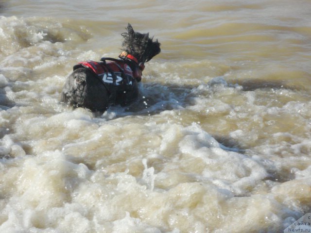 Фотография № 214254