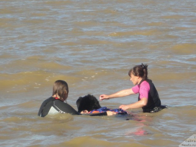 Фотография № 214255