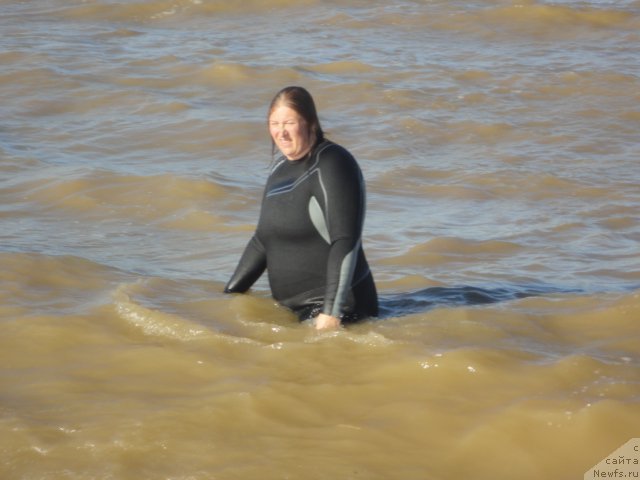 Фотография № 214256