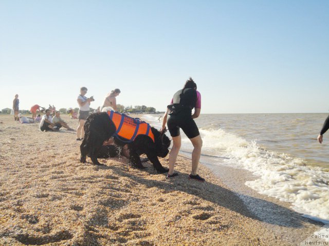 Фотография № 214259