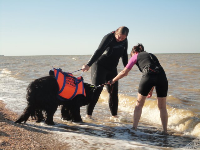 Фотография № 214260