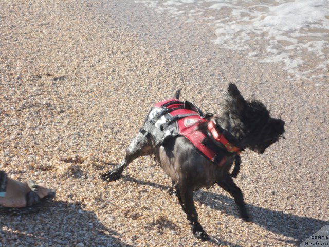 Фотография № 214261