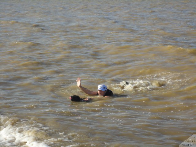 Фотография № 214263