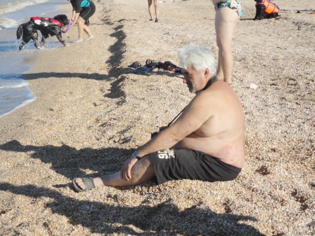 Фотография № 214264