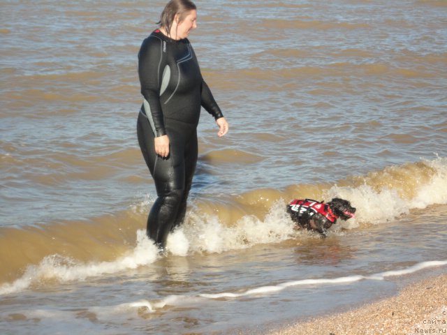 Фотография № 214266