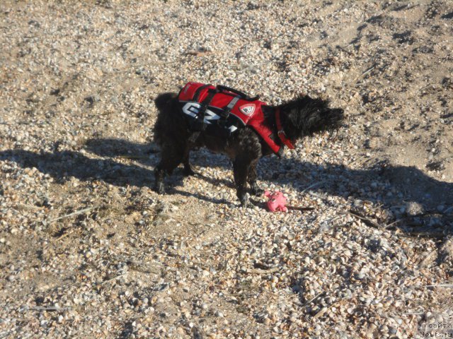 Фотография № 214267