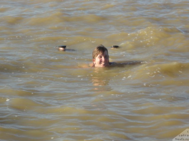 Фотография № 214271