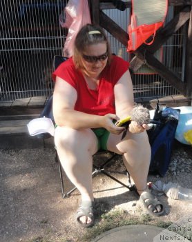 Фотография № 214274