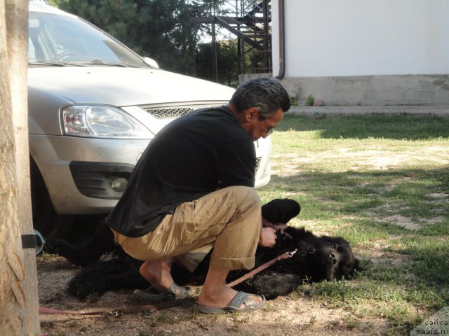 Фотография № 214275