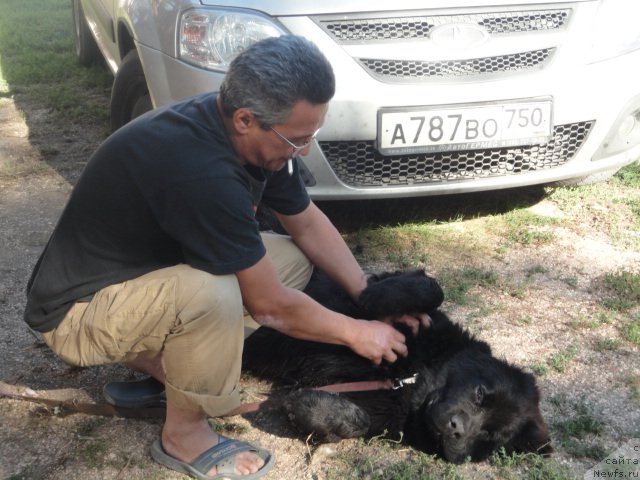 Фотография № 214276