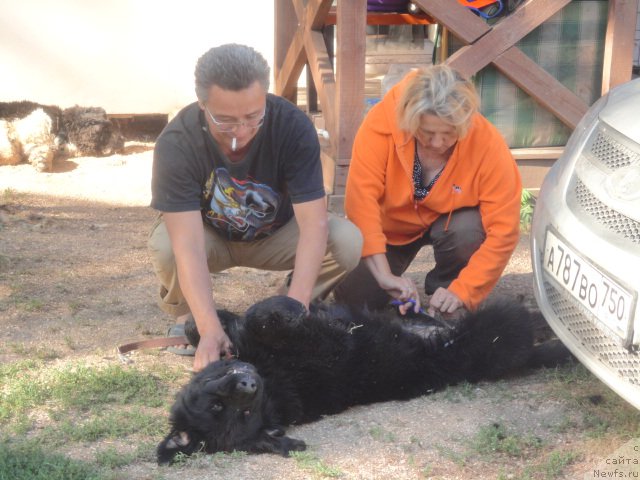 Фотография № 214279