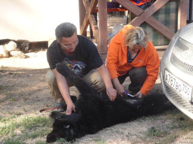 Фотография № 214280