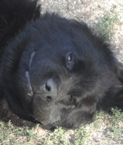 Фотография № 214282