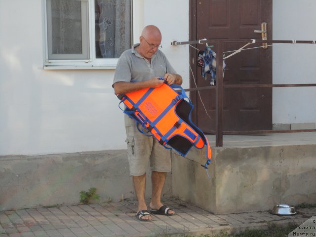 Фотография № 214283