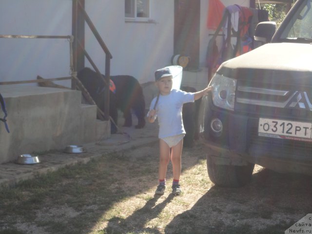 Фотография № 214284