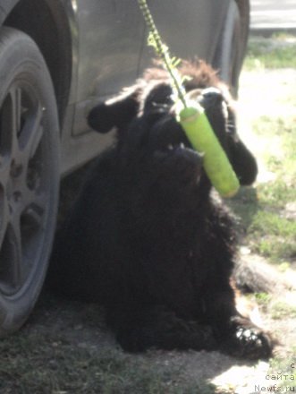 Фотография № 214286