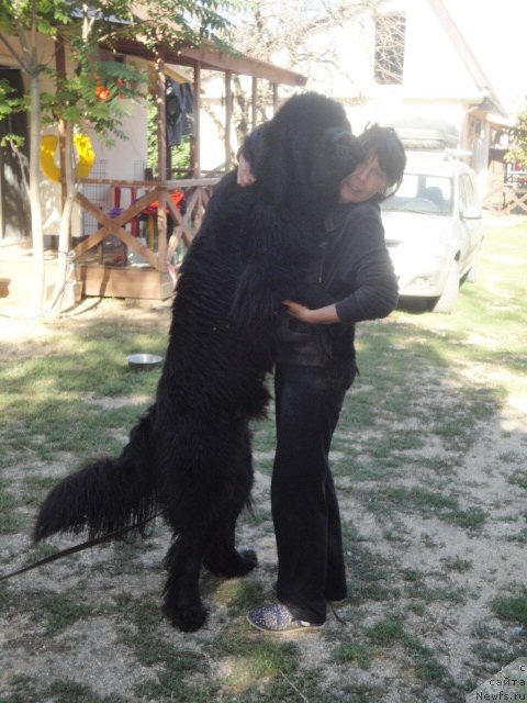 Фотография № 214288