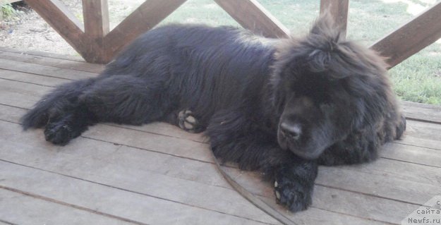 Фотография № 214291