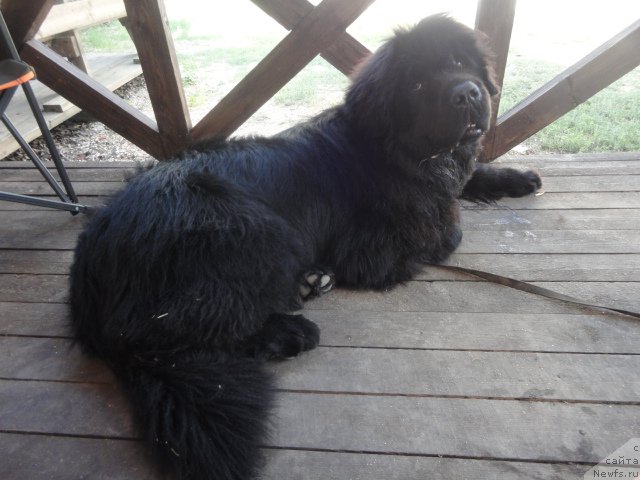 Фотография № 214292