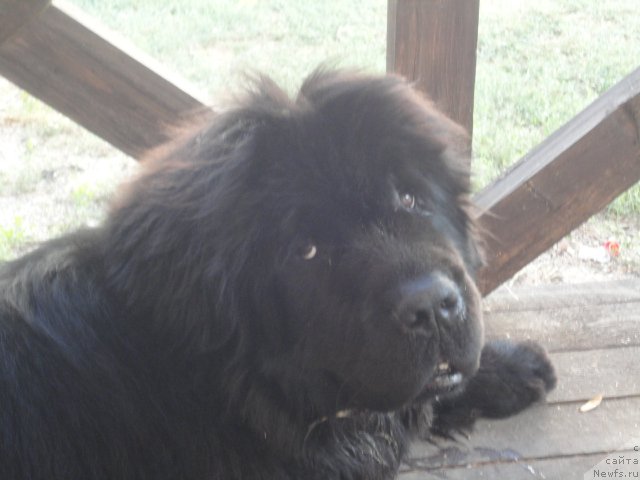 Фотография № 214293