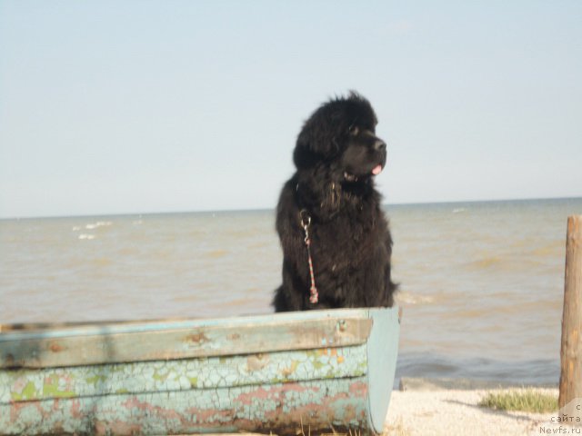 Фотография № 214294