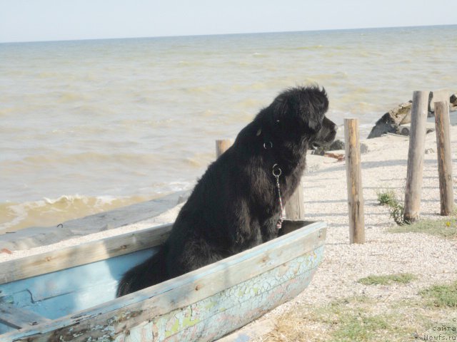 Фотография № 214296