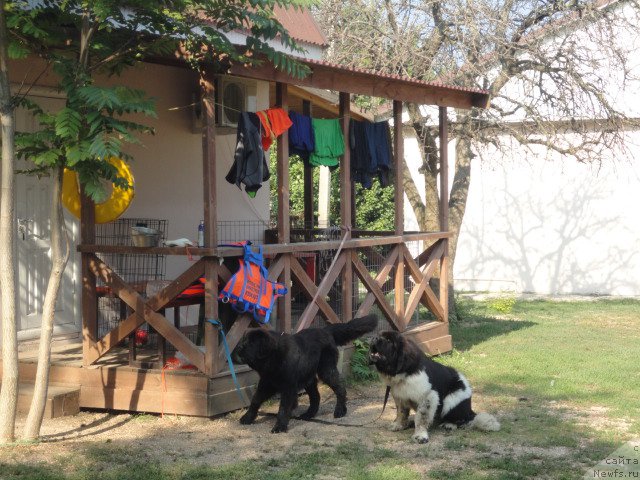 Фотография № 214302