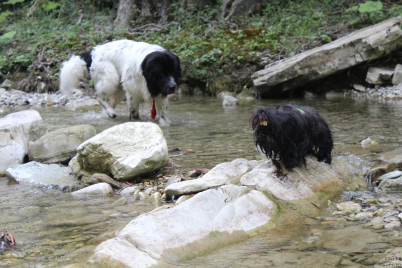 Фотография № 214315