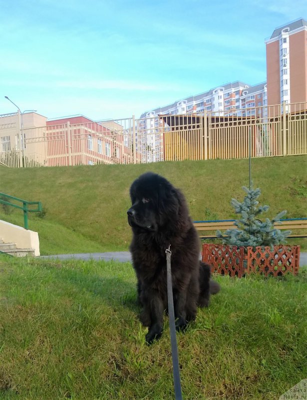 Фотография № 214333