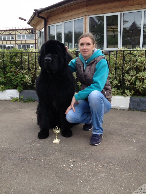 Фотография № 214342