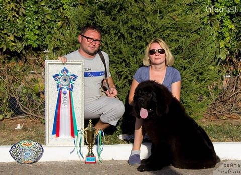 Фотография № 214344