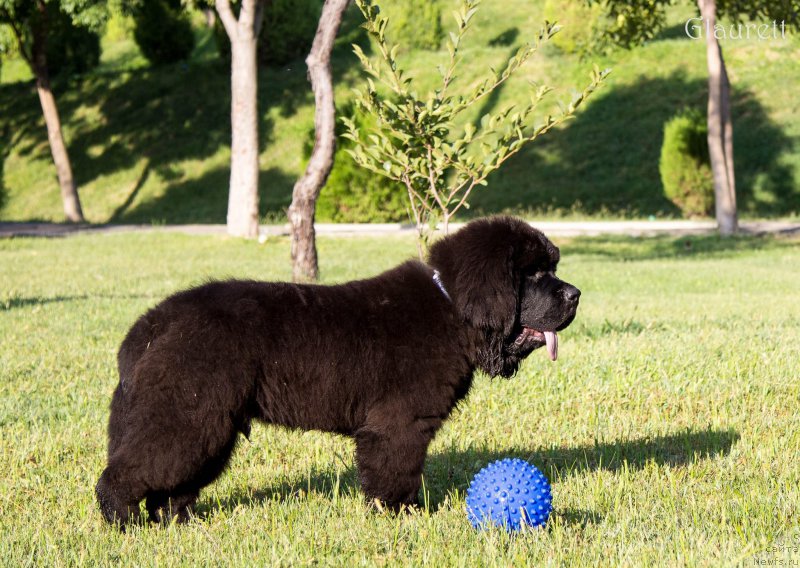 Фотография № 214347