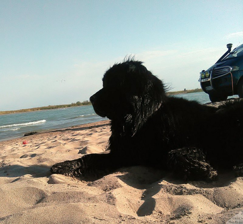 Фотография № 214348