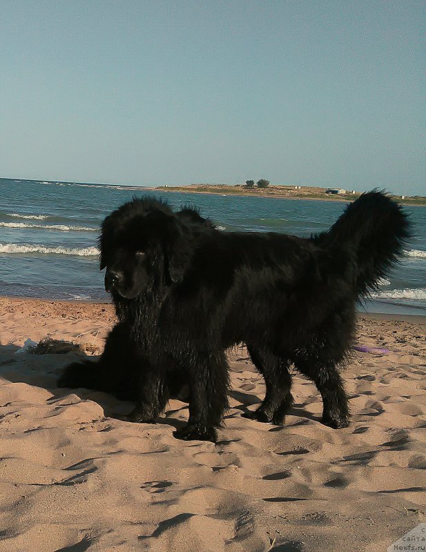 Фотография № 214351