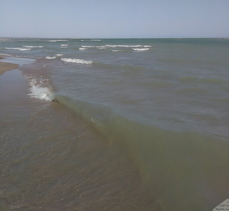 Фотография № 214352