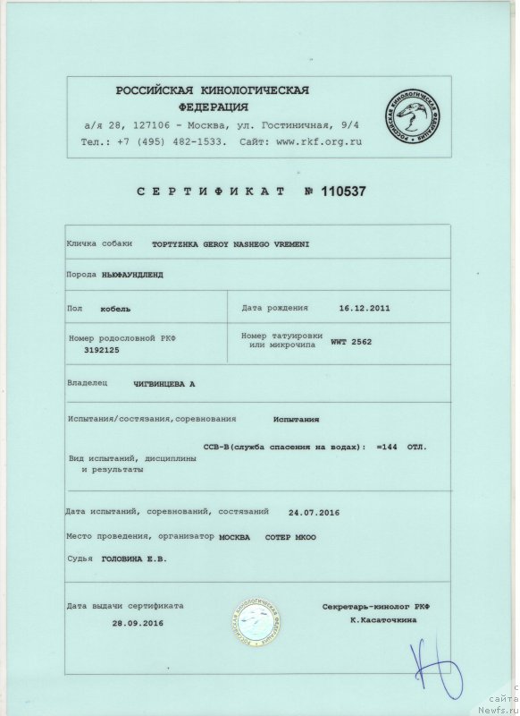 Фото: ньюфаундленд Топтыжка Герой Нашего Времени (Toptyzhka Geroy Nashego Vremeni)