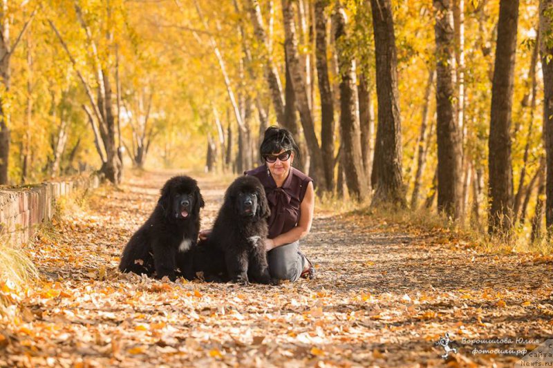 Фотография № 214361