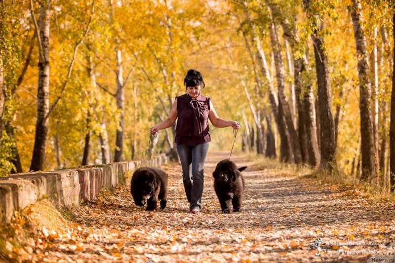 Фотография № 214362