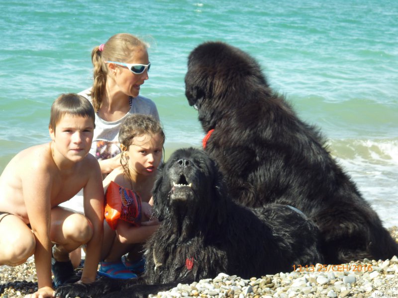 Фотография № 214372