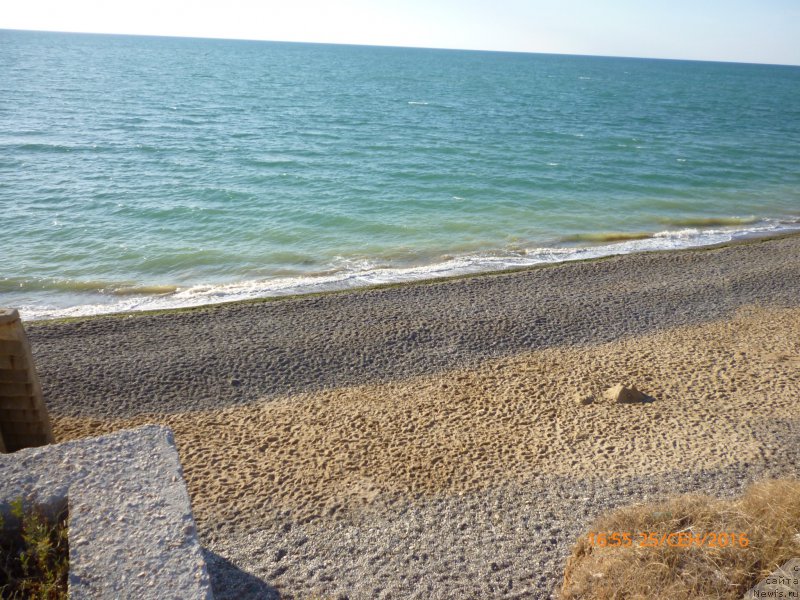 Фотография № 214375