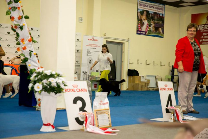 Фотография № 214387