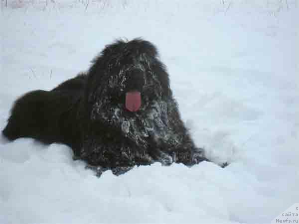 Фотография № 21440