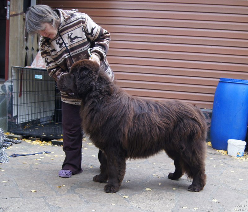 Фотография № 214416